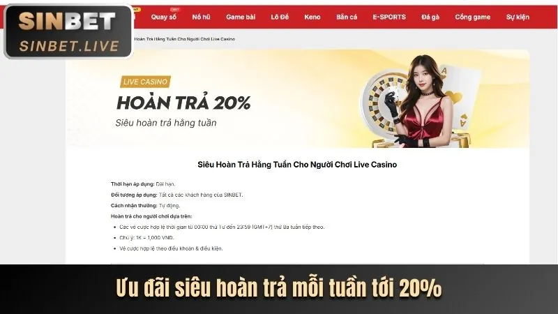 Ưu đãi hoàn trả hàng ngày 1xbet 2026